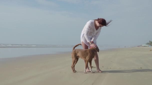 Menina bonita com seu cão perto do mar. 4k — Vídeo de Stock