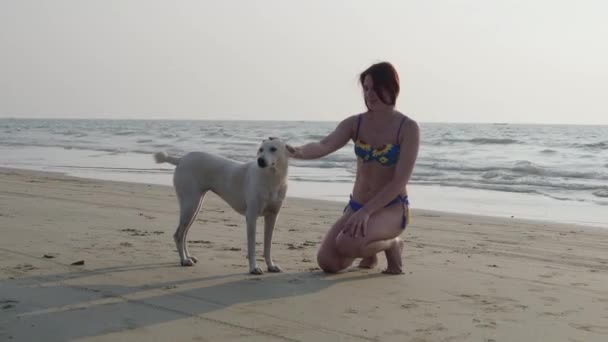 Menina bonita e cão na praia. 4K — Vídeo de Stock