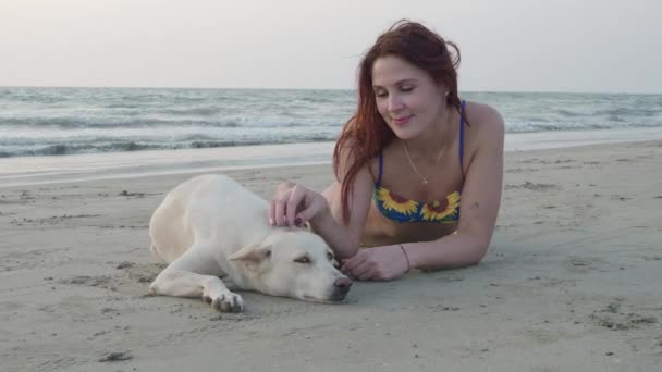 Una hermosa chica y un perro blanco descansan en la playa en un día de verano. 4K — Vídeo de stock