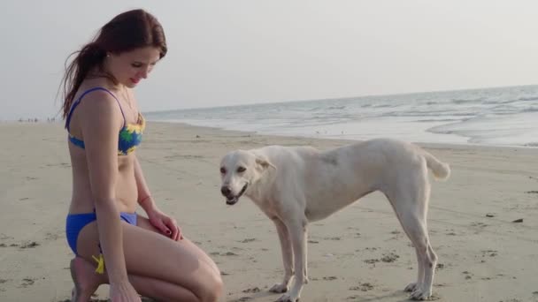 Niña y perro en la playa. 4K — Vídeos de Stock