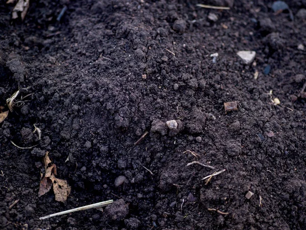 Schwarzes fruchtbares Land mit Müll und Steinen — Stockfoto