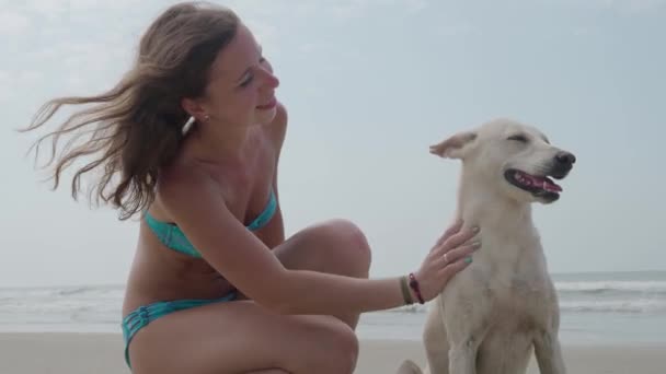 Красивая девушка отдыхает с белой собакой на берегу океана в летний день. 4K — стоковое видео