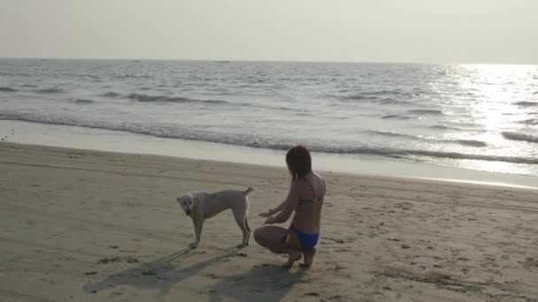 Chica y perro blanco en la playa. 4K — Vídeo de stock