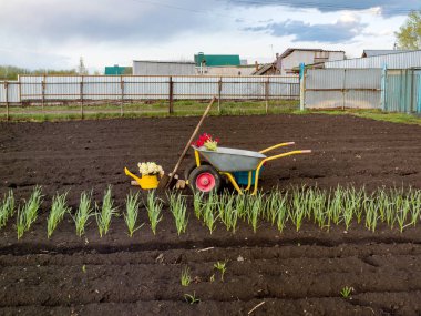 Bahçede çalışmak. Bahçe için Araçlar