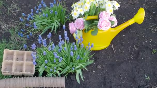 Jardinería en primavera. Trabajando en el jardín — Vídeo de stock