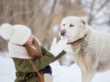 Alabai kızı ve köpeği. Kış günü yürüyüşe çıkmış bir evcil hayvan