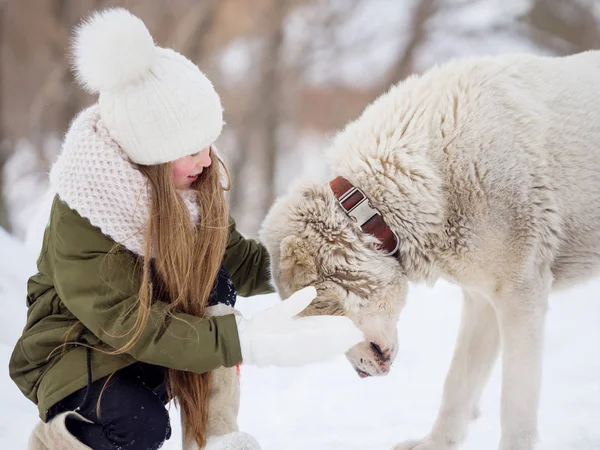 Witte alabai hond en mooi meisje op een winterdag — Stockfoto