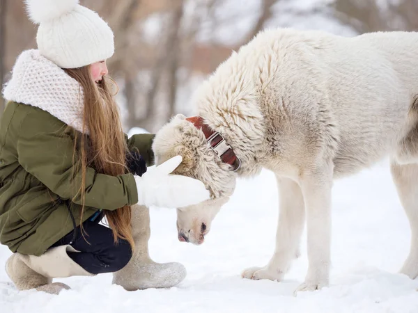 Mädchen und Vollblut-Hund spazieren an einem Wintertag — Stockfoto