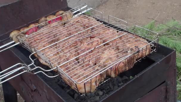 Juicy sabrosa carne barbacoa en un día de verano en la naturaleza — Vídeos de Stock