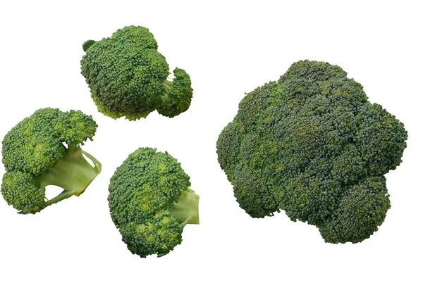 Broccoli Nature Morte Sfondo Bianco — Foto Stock