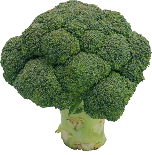 Brokoli Beyaz Bir Arkaplanda Izole Edilmiş — Stok fotoğraf