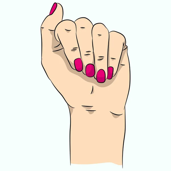 Vrouwelijke Roze Manicure Elegante Handen Vectorillustratie — Stockvector