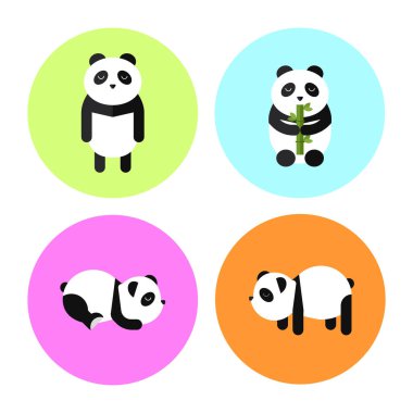 Düz Panda İllüstrasyonu, Panda Simgesi Koleksiyonu, Çember arkaplanı olan Panda