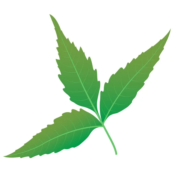 Neem Sketch Medicinal Neem vektörünü bırakır havan topu ve neem ile tokmak