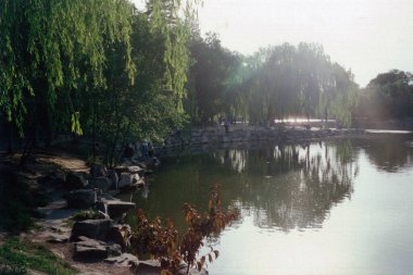 Gölün kıyısında söğüt ağaçları asılı.