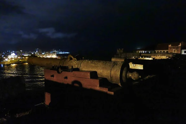 Toplar Havana koyunu işaret ediyor.