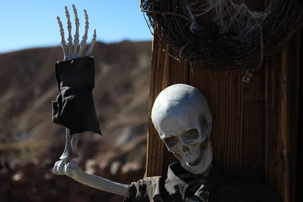 Cadılar Bayramı Kafatası Makyajı