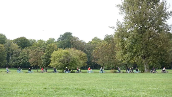 Bisikletçilerden oluşan bir grup güzel bir doğada birlikte yol bisikleti sürerler. Gün batımı ışığı, arka planda deniz..