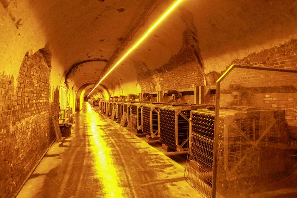 Üzümlerden yapılmış meşe fıçısında bir şarap deposu fabrikası..