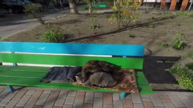 İki yetişkin kedi, sıcak bir bahar gününde evin yakınındaki bir bankta uyur. Bir tanesi kameradan korkar ve kaçar.