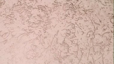 Duvarın deseni dekoratif alçıyla kaplıydı.