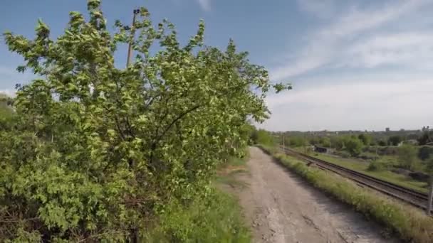 Fuertes vientos soplan sobre arbustos verdes contra el cielo — Vídeos de Stock