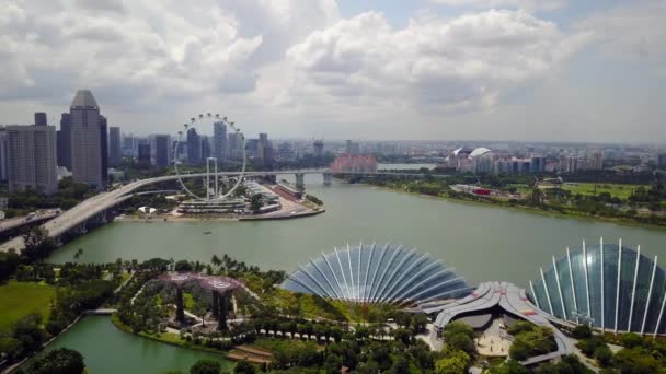 Antenn Trädgårdar Vid Bukten Och Blomma Kupol Och Skyline Singapore — Stockvideo