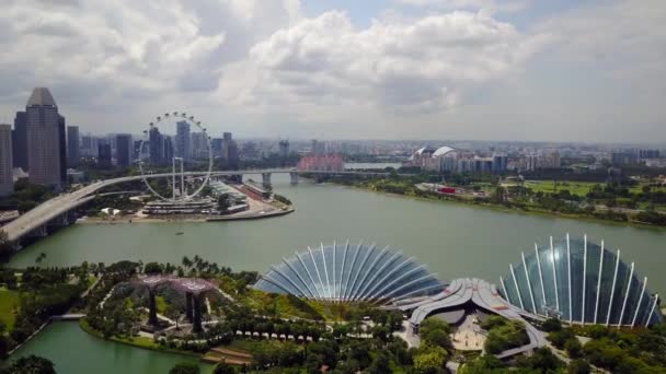 Aérea Jardines Por Bahía Cúpula Flores Marina Embalse Singapore — Vídeos de Stock