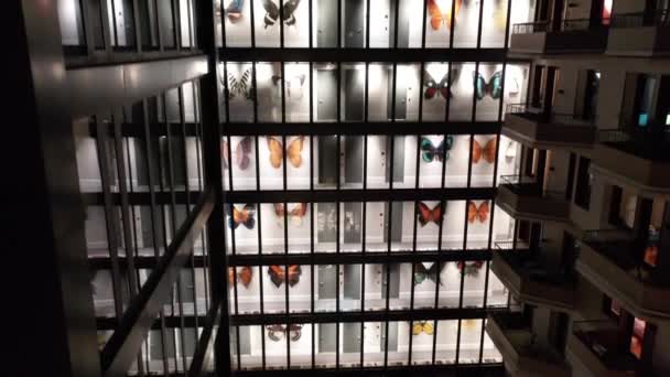 Aerea Arte Moderna Condominio Bushwick Brooklyn Notte — Video Stock