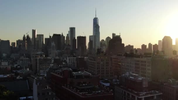 New York Etçil Bölgesi Havası — Stok video