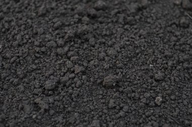 Baharda güneşli bir günde kara toprak. İnsanlar bitki ekmeye hazırlanıyor. Dünya Günü yaklaşıyor.