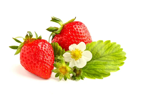 Ein Paar Erdbeeren Auf Weißem Isolierten Hintergrund — Stockfoto