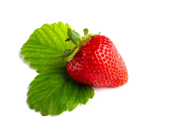 Erdbeeren Beere Isoliert Auf Weißem Hintergrund — Stockfoto