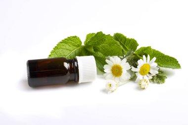 Nane yaprakları ve izole edilmiş beyaz arka planda yağlı papatya çayı.