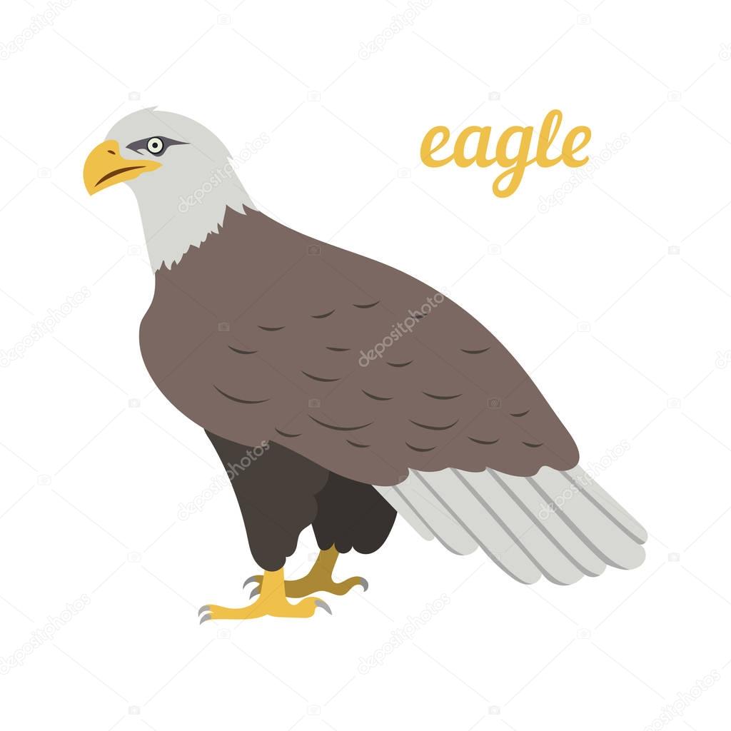 Vector illustration of american eagle