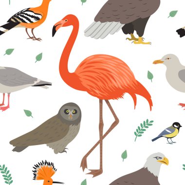Farklı renkli kuşlar ile şirin seamless modeli. Flamingo, martı, american eagle, baştankara, gri baykuş ve ibibik. Vektör illustrashion. 