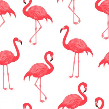 Flamingo ile şirin seamless modeli. Vektör illustrashion. 