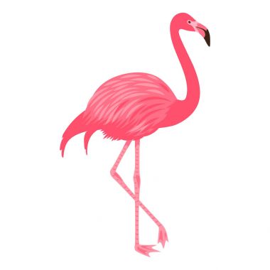 Pembe flamingo vektör Illustration. Beyaz arka plan üzerinde izole. Egzotik tropik kuş. 