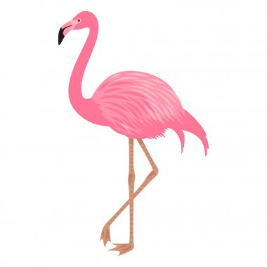 Pembe flamingo vektör Illustration. Beyaz arka plan üzerinde izole. Egzotik tropik kuş. 