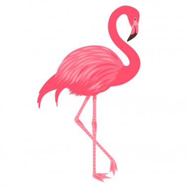 Pembe flamingo vektör Illustration. Beyaz arka plan üzerinde izole. Egzotik tropik kuş. 