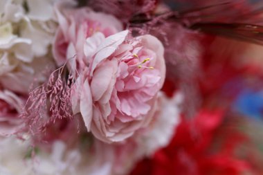 Dekor için narin pembe çiçekler