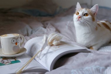Elinde kitap ve bardak olan bir kedi.