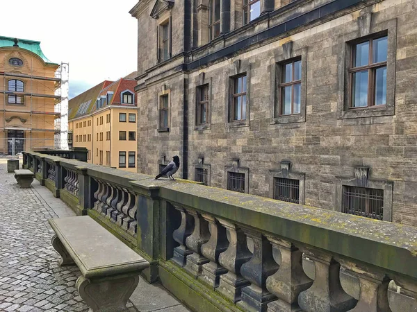 Bahar Mevsiminde Dresden Sokakları — Stok fotoğraf