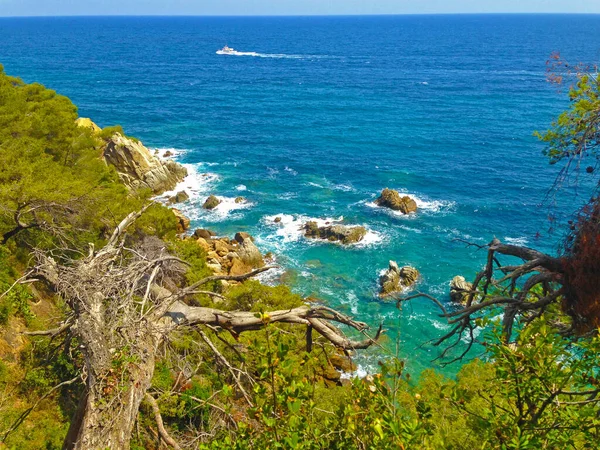 西班牙Lloret Mar海岸有水的岩石 — 图库照片