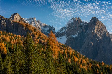 Cima Dodici (Zwlferkofel) o Croda dei Toni dalla Val Fiscalina (Fischleinvalley). Dolomiti di Sesto. Trentino Alto Adige. Nord İtalya.