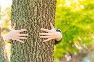 Eko Dünya Günü konsepti. Çevre dostu. Gezegeni kurtar. İklim değişimiyle mücadele. Ağaç sarılması