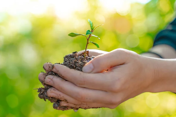 Eco Concetto Giorno Terra Eco Friendly Salva Pianeta Combattere Gli — Foto Stock