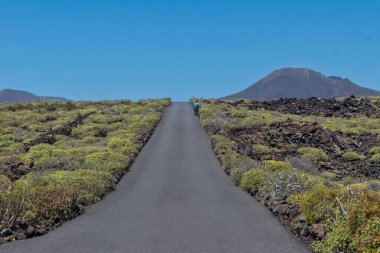 İspanya, Lanzarote, Bolt dik asfalt karayolu kurak adanın lav ve bitki örtüsünün yanı sıra