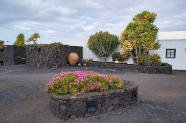 Lanzarote Adası 'ndaki Cesar Menrique Vakfı müzesinin bir parçası olan LANZAROTE