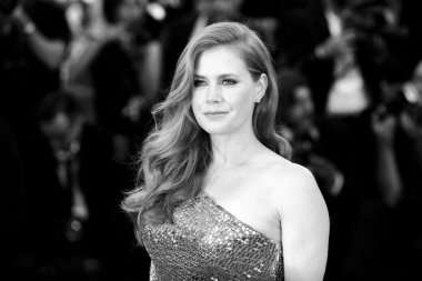 Aktris Amy Adams